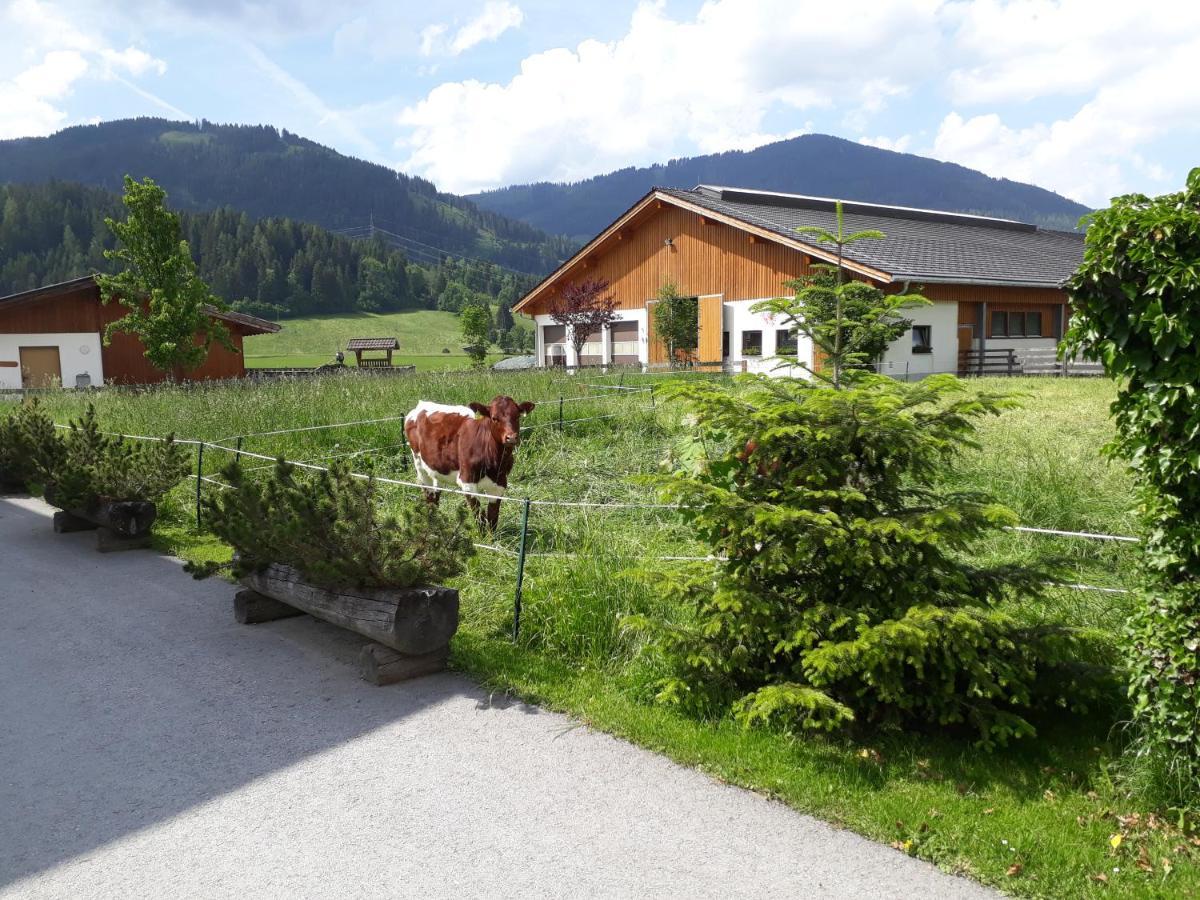 Landhaus Fingerhof Flachau Dış mekan fotoğraf