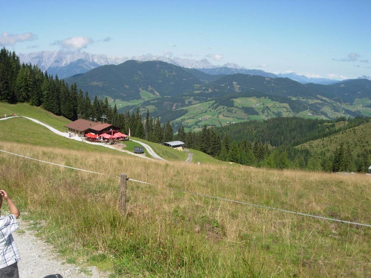 Landhaus Fingerhof Flachau Dış mekan fotoğraf