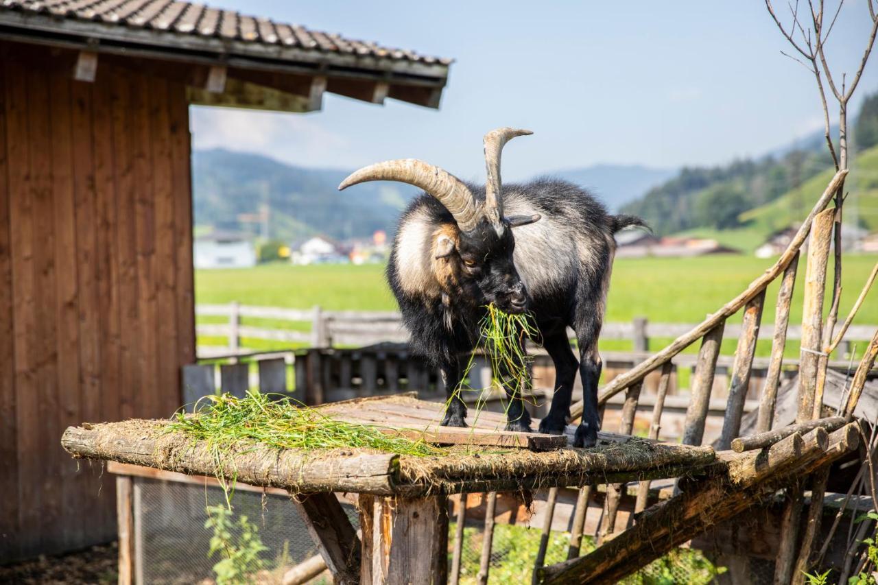 Landhaus Fingerhof Flachau Dış mekan fotoğraf
