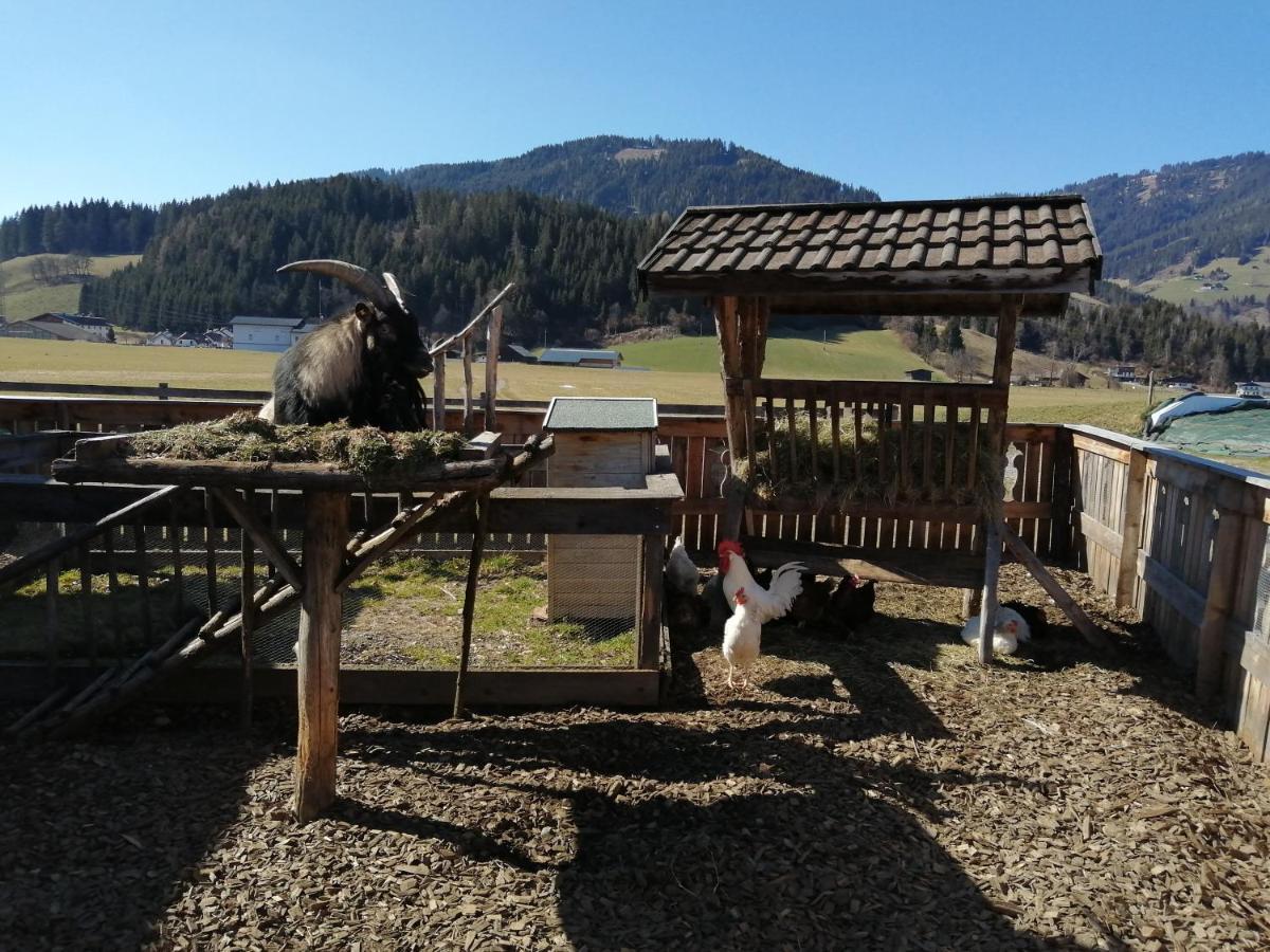 Landhaus Fingerhof Flachau Dış mekan fotoğraf